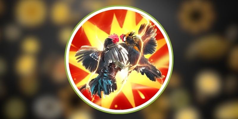 33win